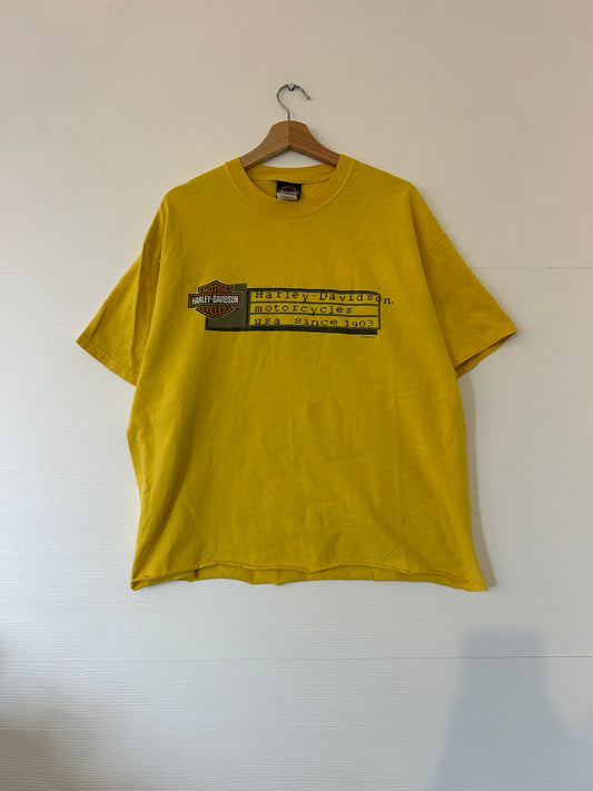 Vintage Kentucky Harley tee - L