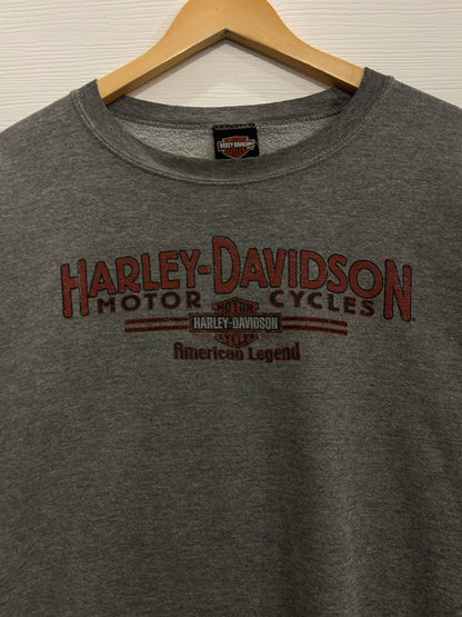 Vintage CHI-TOWN Harley crew - L
