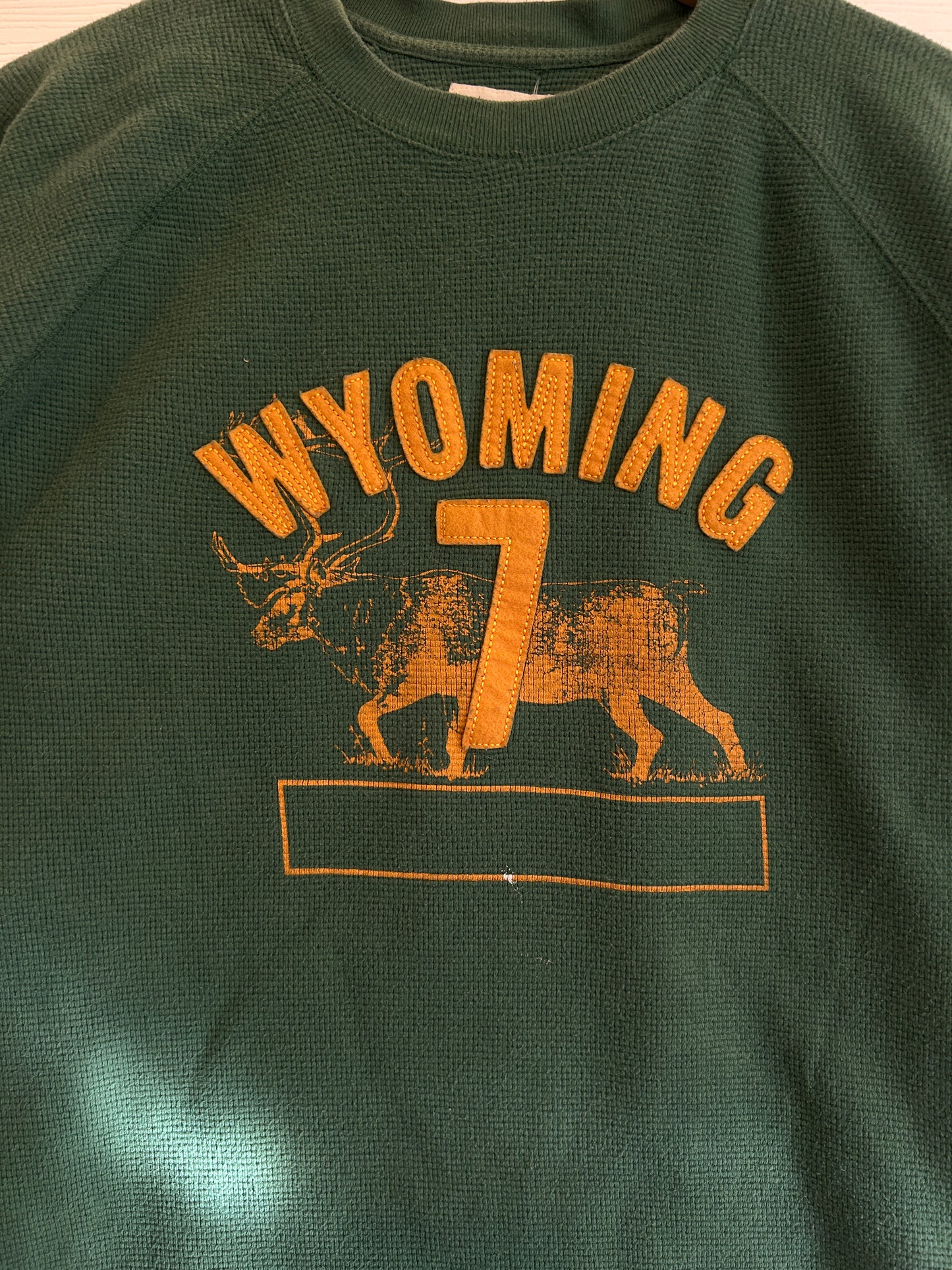 Y2K Gap Wyoming Tee