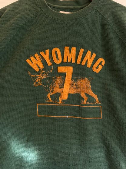 Y2K Gap Wyoming Tee