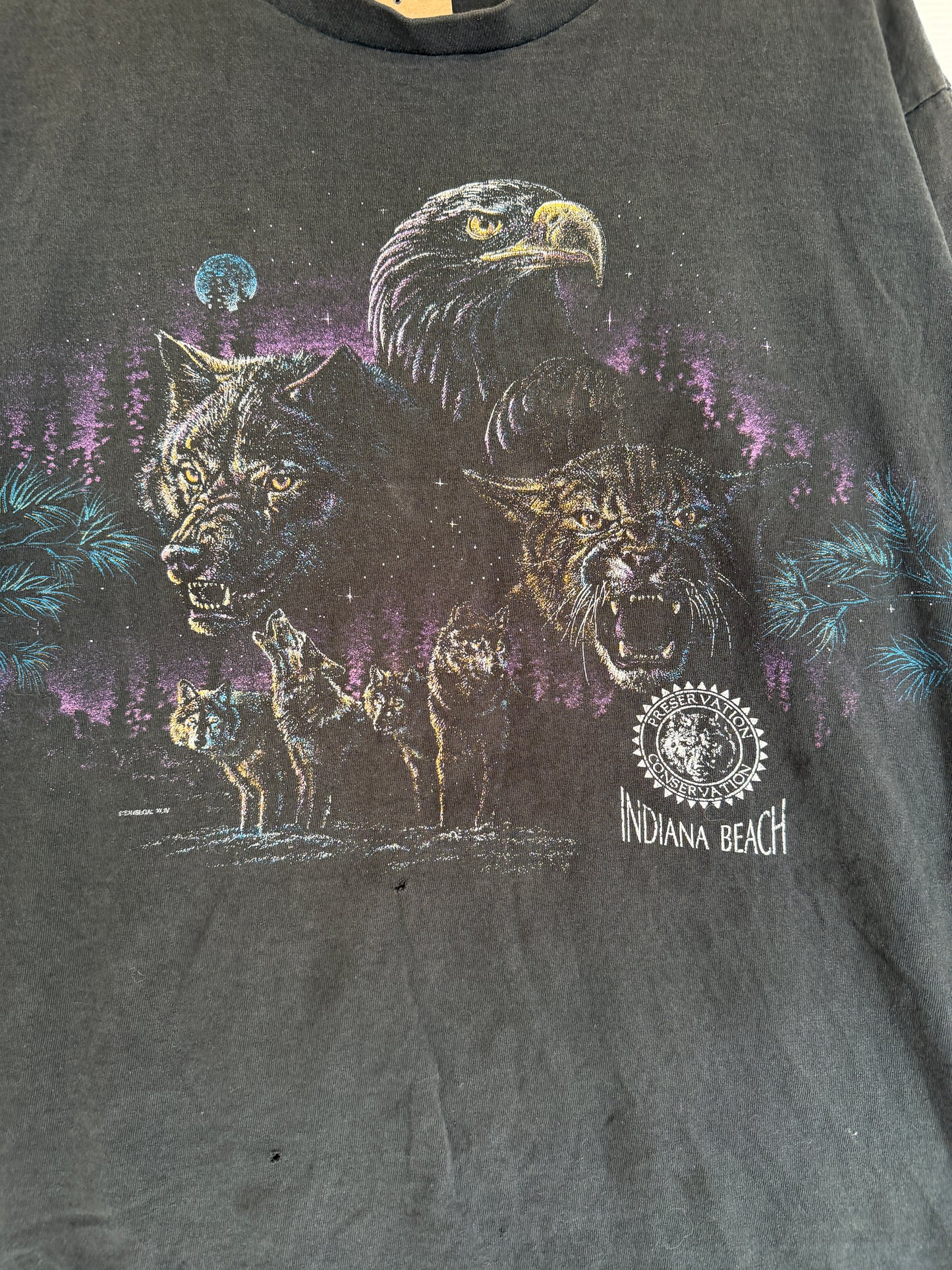 Indiana beach nature tee - L
