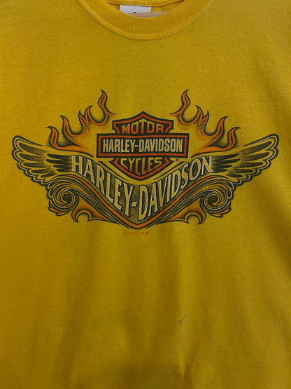 Y2K Hoosier Harley tee - XL