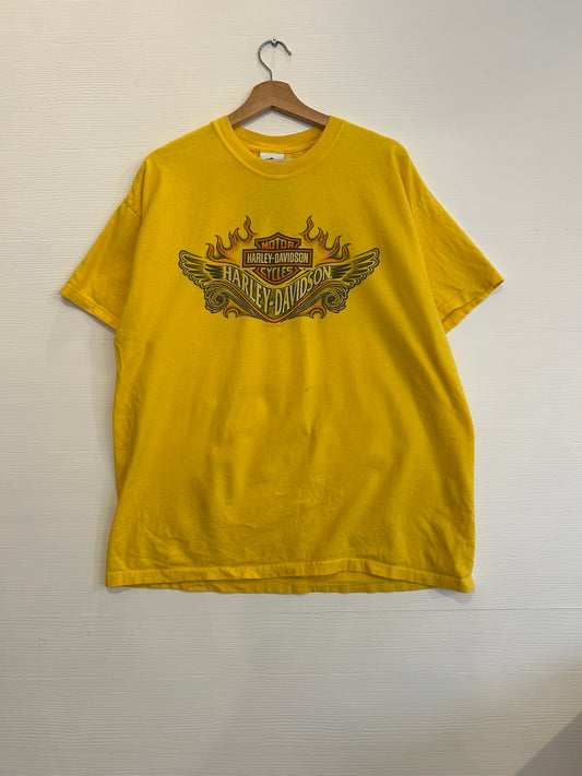 Y2K Hoosier Harley tee - XL