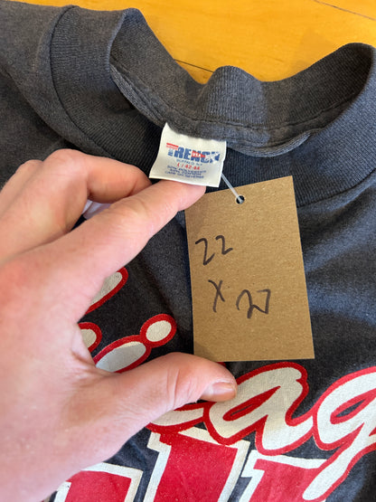 Vintage bulls tee